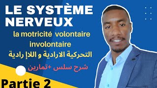 Le Système Nerveux  La Motricité Volontaire et Involontaire  Partie 2 3APIC [upl. by Dominy]