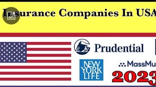 Life Insurance In USA  Types Of Life Insurances In USA  5 Best Insurance Company 2023 In USA [upl. by Nauaj]