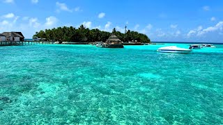 Thulhagiri Maldives 29 1 6 2 2024 [upl. by Eralc]