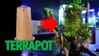 TERRARIUM Auto Basah  TerraPot [upl. by Kelsey231]