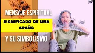 Soñar con Arañas Significado Espiritual de ¡Descubre su Misterioso Mensaje ConexionMay [upl. by Annoynek]