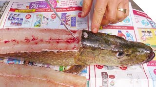 How to Fillet a Pike and Get 5 Boneless Fillets [upl. by Ahsein]