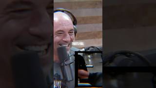 Rogans Hilarious Reaction to David Goggins Workout [upl. by Ballman]