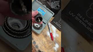 Adding a UV sterilizer to a fluval HOB filter [upl. by Strephon773]