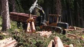 Forwarder Tigercat 1085B with Low Wide [upl. by Eissirc412]