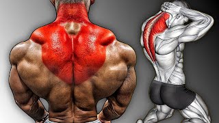 Most Effective Traps Muscle Growth Workout [upl. by Dexter]