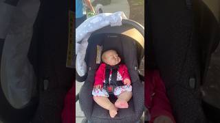 Reborn Baby Doll Goes On A Walk With Dogs Outing [upl. by Myna535]