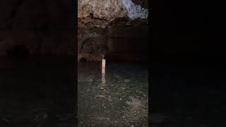 Bats Cave Entrance Newberry Florida [upl. by Toshiko]