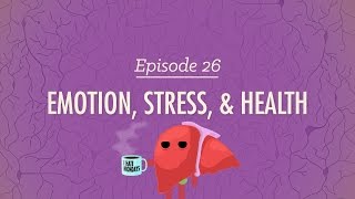 Emotion Stress and Health Crash Course Psychology 26 [upl. by Eveiveneg]