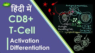 CD8 TCell क्या है और कैसे काम करता है Activation and Differentiation  Basic Science Series Hindi [upl. by Staci]