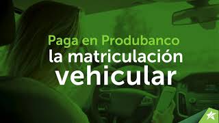 Paga en Produbanco la matriculación vehicular [upl. by Belita830]