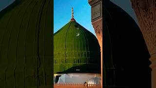 maula ya salli  Burdah  Naat Sharif Status  naat shorts youtubeshorts viral trending edit [upl. by Ikcim]