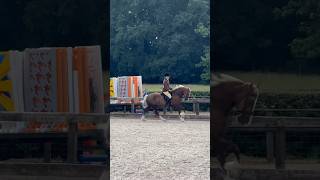 Full horse show vlog up on my channel horse equines horseriding horseshow [upl. by Georglana]