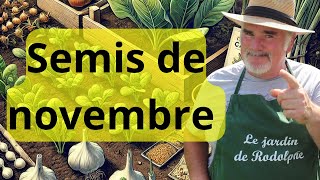 Les 10 meilleurs légumes à semer en novembre même par temps froid [upl. by Mcdowell]