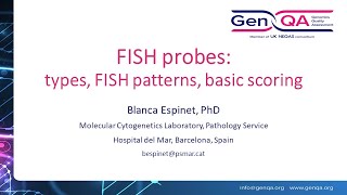 FFPE FISH Workshop 2024 3 FISH probes types patterns and scoring [upl. by Daenis]