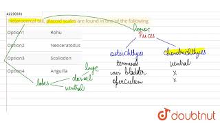 Heterocercal tall placoid scales are found in one of the following [upl. by Lertram]