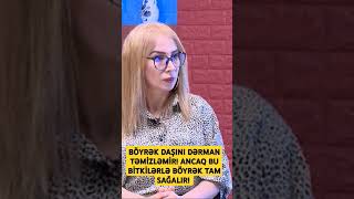 eləçarə ilhamənasir elinsözü böyrək dərman bitkilər [upl. by Ecyrb]