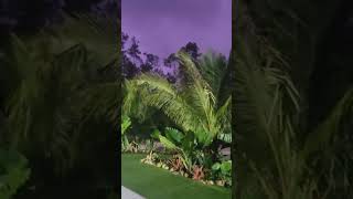 Purple sky after hurricane Milton passed by [upl. by Arimlede]