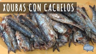 XOUBAS CON CACHELOS  Lareirasgal [upl. by Adaven]