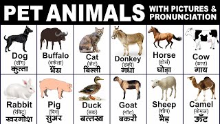 Domestic animals name with spelling  domestic animals name with pronunciation  pet animals [upl. by Norven]