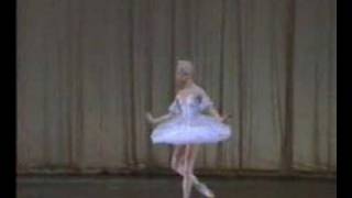 Bolshois Nina Kaptsova in Sleeping Beauty Aurora Variation [upl. by Shugart840]