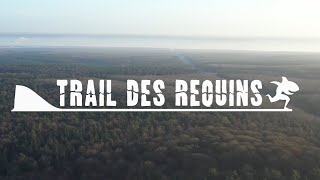 Trail des Requins 2020 [upl. by Oznofla]