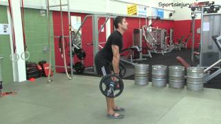 Back Exercise Straight leg deadlift [upl. by Richmond]