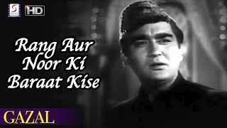 Rang Aur Noor Ki Baraat Kise Pesh Karoon  Mohammed Rafi  Sunil Dutt Meena Kumari [upl. by Acissehc]