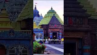 Jagatara jamidara 🫂❤️🙏jagannathbhajana statusvideo kalia jamidar ❤️🫂🙏 [upl. by Anahir]