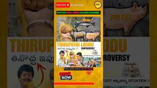 Thirupathi Laddu Controversy  TTD  Telugu Facts thirupathiladdu telugufacts factsintelugu [upl. by Sokin]