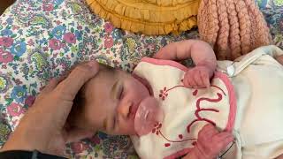 Bountiful Baby Silicone Reborn Baby Doll [upl. by Ardnuek278]