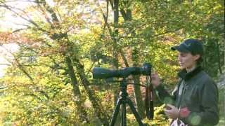 Video tutorial SWAROVSKI OPTIK Digiscoping camera adapter TLS APO for ATXSTX spotting scopes [upl. by Georgena]