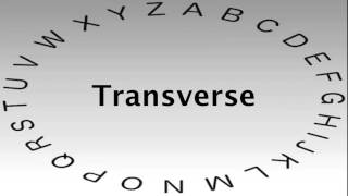 SAT Vocabulary Words and Definitions — Transverse [upl. by Alford571]