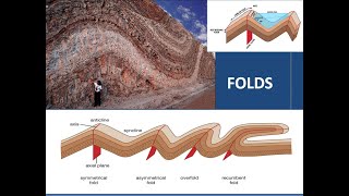 FOLDS [upl. by Chancey]