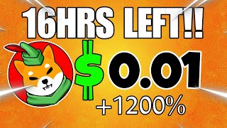 SHIBA INU COIN 001  IF YOU HOLD 5000000 SHIB ITS CONFIRM 00 ZERO KILL SHIBA PRICE PREDICTION [upl. by Laith530]