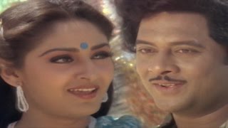 Parimalinchu Video Song  Puli Bebbuli Movie  Krishnam RajuChiranjeeviJayapradhaRadhika [upl. by Anrak874]