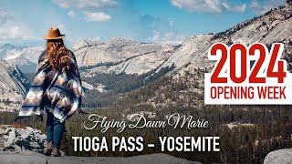 255 Tioga Pass is Open 2024 Current Conditions Yosemite National Park TIOGA ROAD ADVENTURE [upl. by Nohtahoj628]