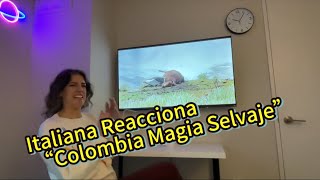 Italiana Reacionando al Documentario “Colombia Magia Selvaje” colombia italian reaction reaccion [upl. by Duff]