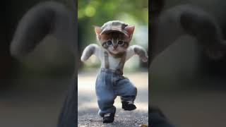 CATDANCE 035 cat dancingcat animaldance catdancer catdance dancevideo catlover cuteecats [upl. by Yleoj513]