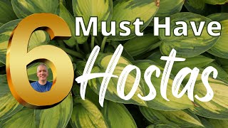 6 quotMUST HAVEquot Hostas for a small nursery [upl. by Nalyak]