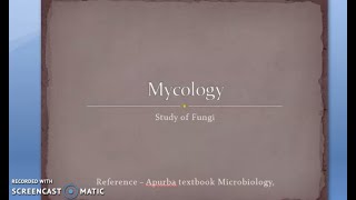 Microbiology 577 a Mycology Introduction Fungi Fungal Types Classification Yeast Mold disease [upl. by Ahsek]