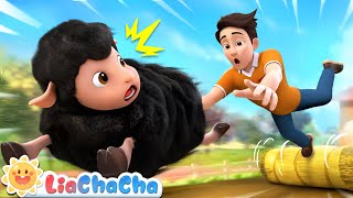 Baa Baa Black Sheep  LiaChaCha Nursery Rhymes amp Baby Songs [upl. by Zara]