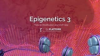 Epigenetics3 Histone Modification and ChIPseq [upl. by Mose942]