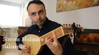 Simone Molinaro  Saltarello  Renaissance lute [upl. by Fabien874]