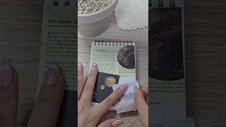 Promises made in the summerㅣ여름에 한 약속ㅣDOJA DIARYㅣASMR asmrshortsjournalscrapbookingdiyscrapbook [upl. by Risser]