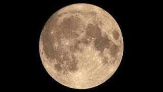 Themes of the Full Moon in Leo January 25 2024 and a Meditation for this Full Moon [upl. by Colier]