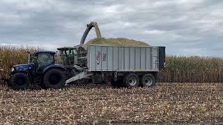 New Holland T6 mit Fliegl ASW 271 im Mais 2024 [upl. by Peppard]