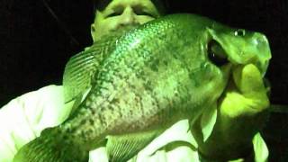 BNB Crappie Jigs Night Fishing NEW Uncle Ricks Duck Cove Marina [upl. by Eillod]