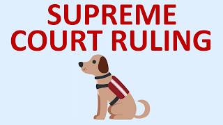 What You Need to Know About the Latest Service Dog Supreme Court Ruling on Service Dogs [upl. by Cormac]