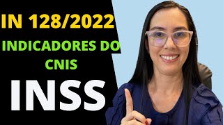 IN 128 de 2022 do INSS e os indicadores do CNIS [upl. by Farnsworth]